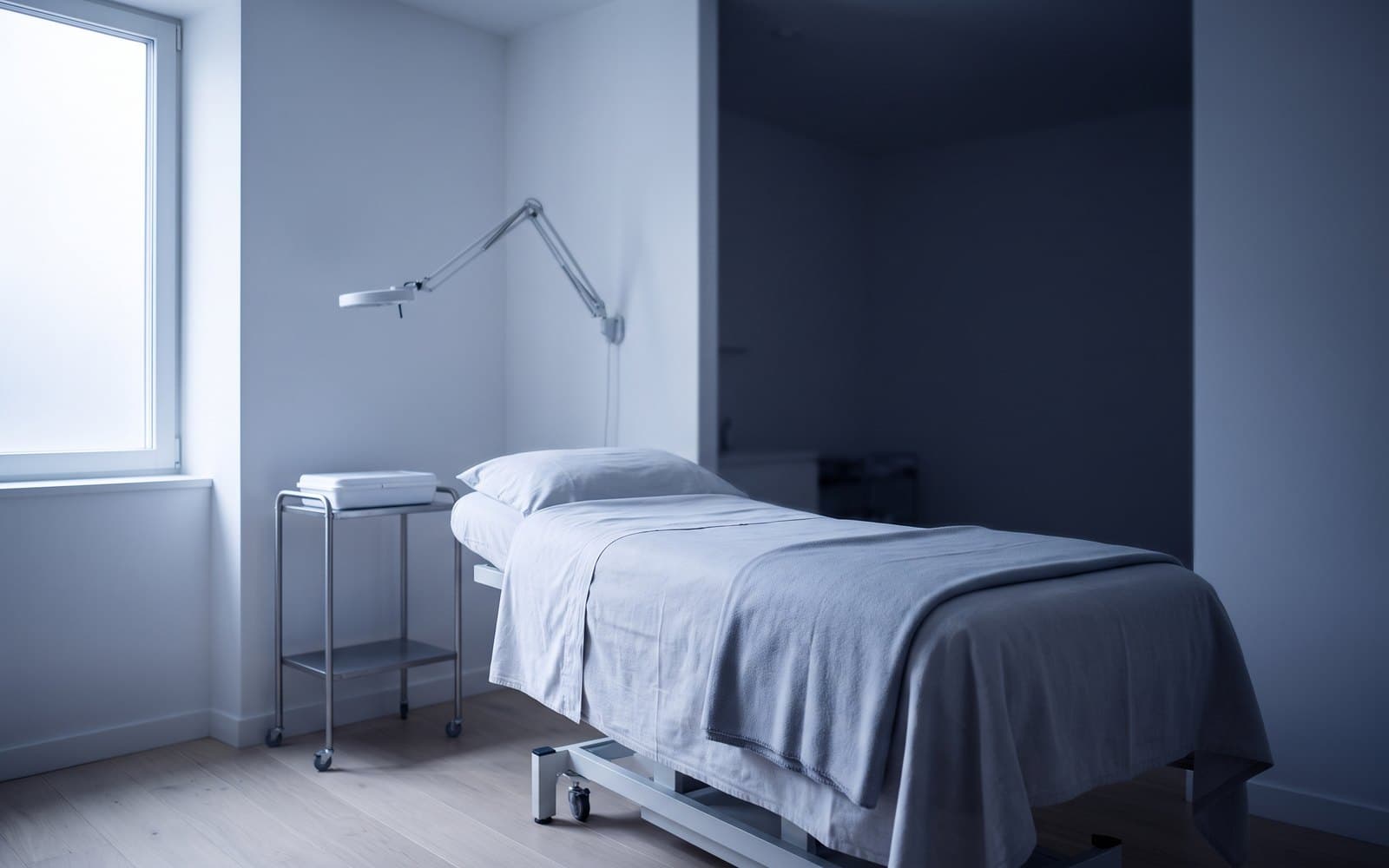 A treatment room at Moonshine: a linen-covered bed under a window of cool daylight