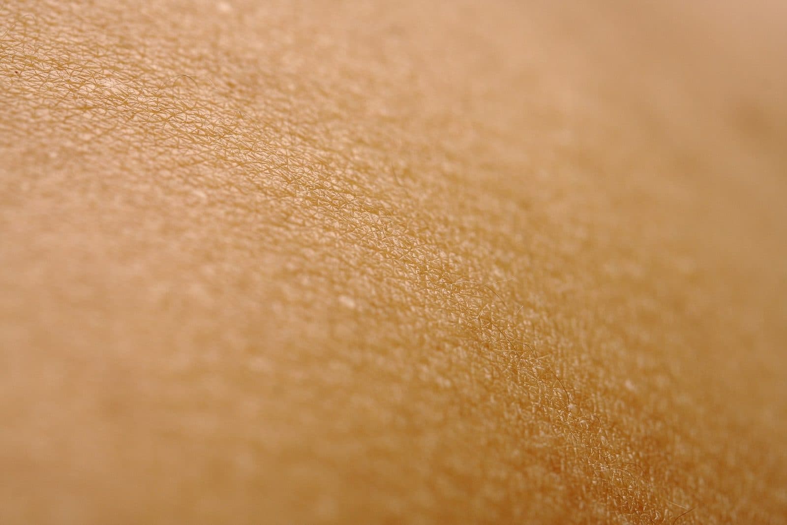 Bare skin in close-up, pores and fine texture visible